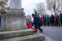 A young man lays a poppy wreath at Hackney's 2021 Remembrance Sunday