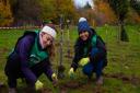 UK Power Networks has partnered with Trees for Cities for the planting scheme