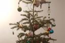 Will\'s Christmas tree. Picture: Will McCallum