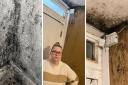Terri Harrigan said she has been living with black mould since she moved into her flat in 2019