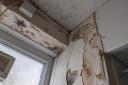 Mould and damp in bathroom of council flat Kenninghall Road, Hackney, pic Julia Gregory, free for use by partners of BBC news wire service
