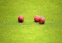 A general view of cricket balls on the ground during a nets session at Lord's