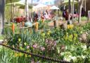 The Dalston Eastern Curve Garden has reopened in time for spring.