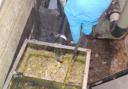 Thousands of businesses have installed fat traps