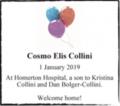 Cosmo Elis Collini