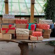 Shoeboxes filled with donations during last year's Akka appeal