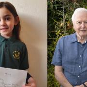 A Hackney seven-year-old was shocked to find out David Attenborough had personally responded to a letter she sent him about climate change