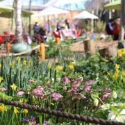 The Dalston Eastern Curve Garden has reopened in time for spring.