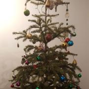Will\'s Christmas tree. Picture: Will McCallum