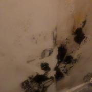 Mould at a Lower Clapton flat