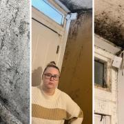 Terri Harrigan said she has been living with black mould since she moved into her flat in 2019