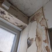 Mould and damp in bathroom of council flat Kenninghall Road, Hackney, pic Julia Gregory, free for use by partners of BBC news wire service