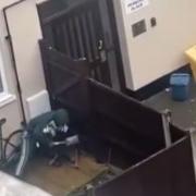 A video believed to be from the incident showed a man beating the dog with a spade