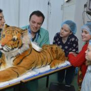 Children 'on shift' practising to be zoo vets