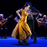 Paco Peña’s Flamenco runs 4 nights