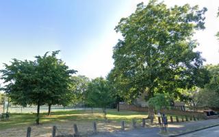 Two more trees adjacent to the estate could also be at risk. Photo credit: Google