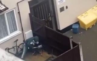 A video  showed a man beating the dog with a spade